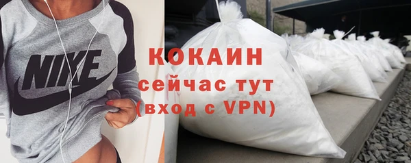твердый Богданович